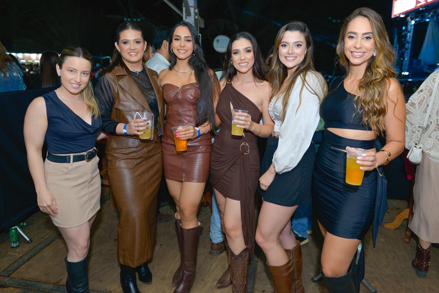 Festa do Leite 2025 em Brejo Bonito