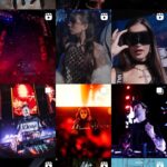 Árvore da Vida 2025 –